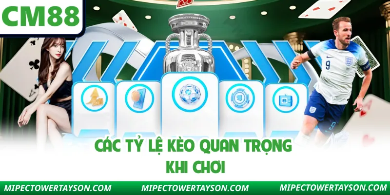 Các tỷ lệ kèo quan trọng khi chơi